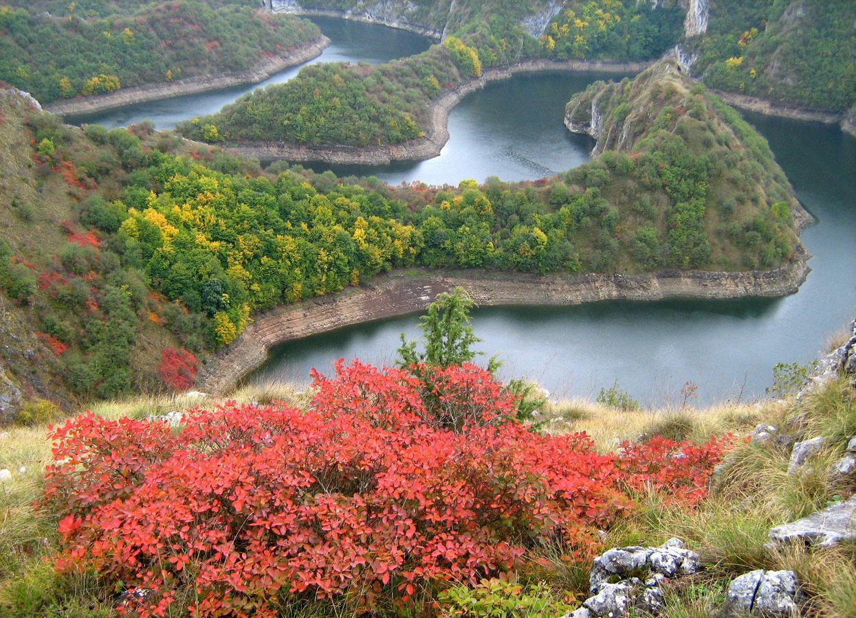Zlatarska Kruna Nova Varoš 外观 照片